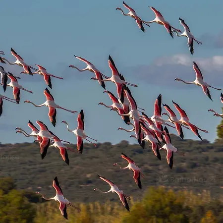 Aparthotel La Scogliera 3*