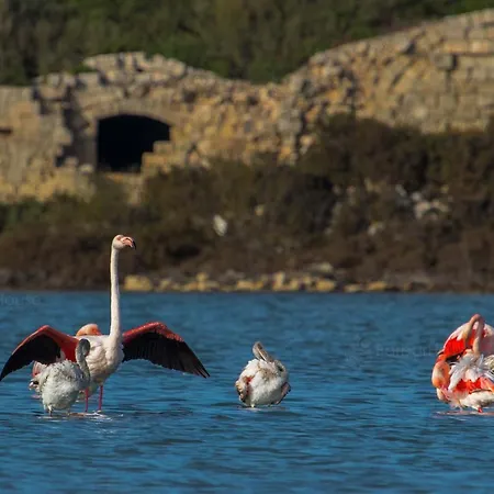La Scogliera Aparthotel 3*