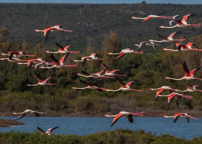 公寓式酒店 La Scogliera