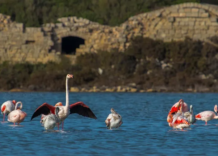 La Scogliera 公寓式酒店 3*